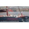Freebird Catamaran (4.5 Hours)